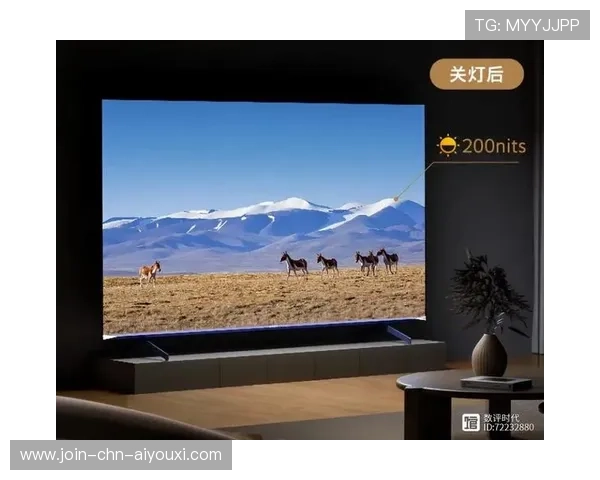 VAR 屏幕增加亮度模式确保阳光条件下可视