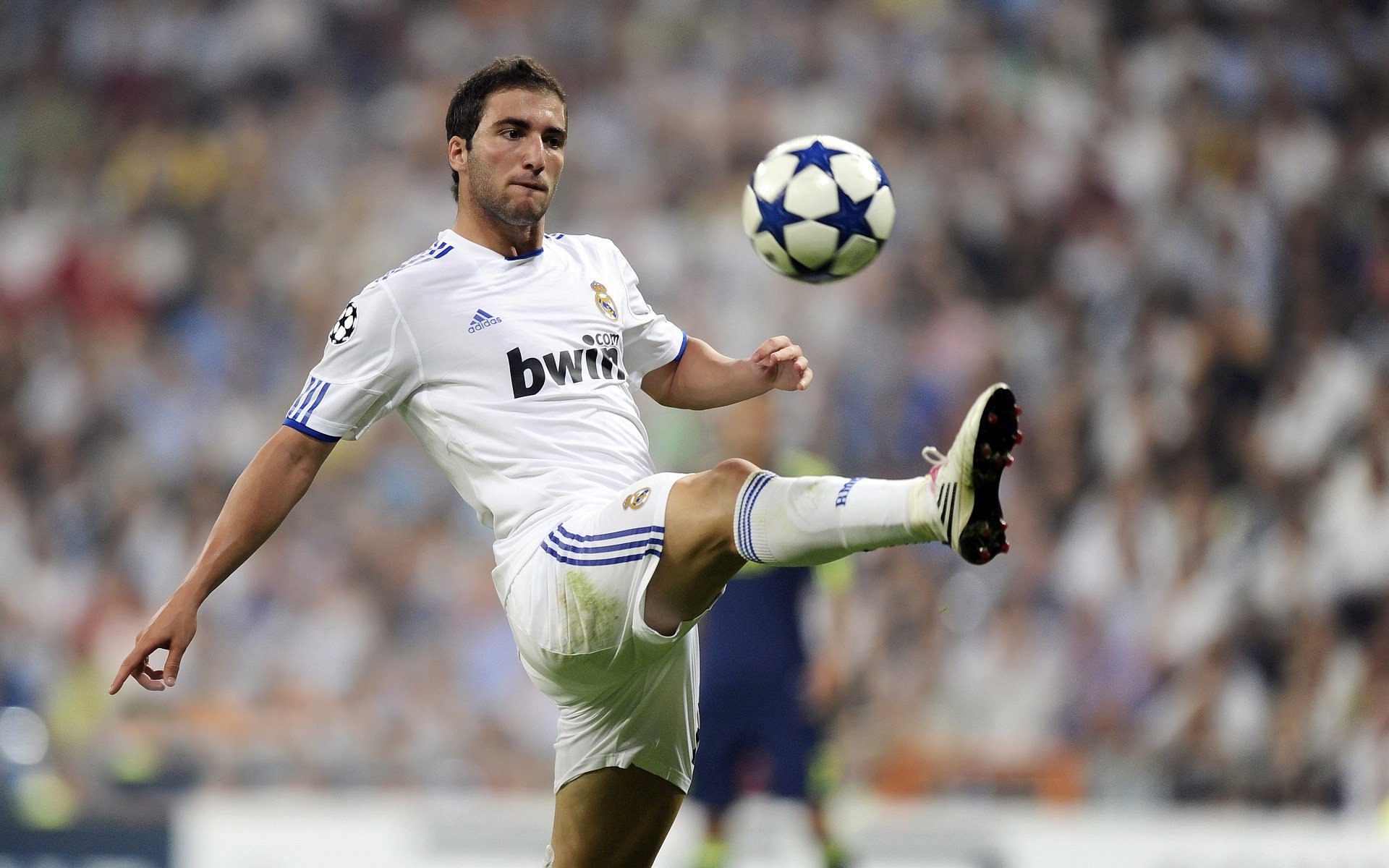 体育明星动态追踪